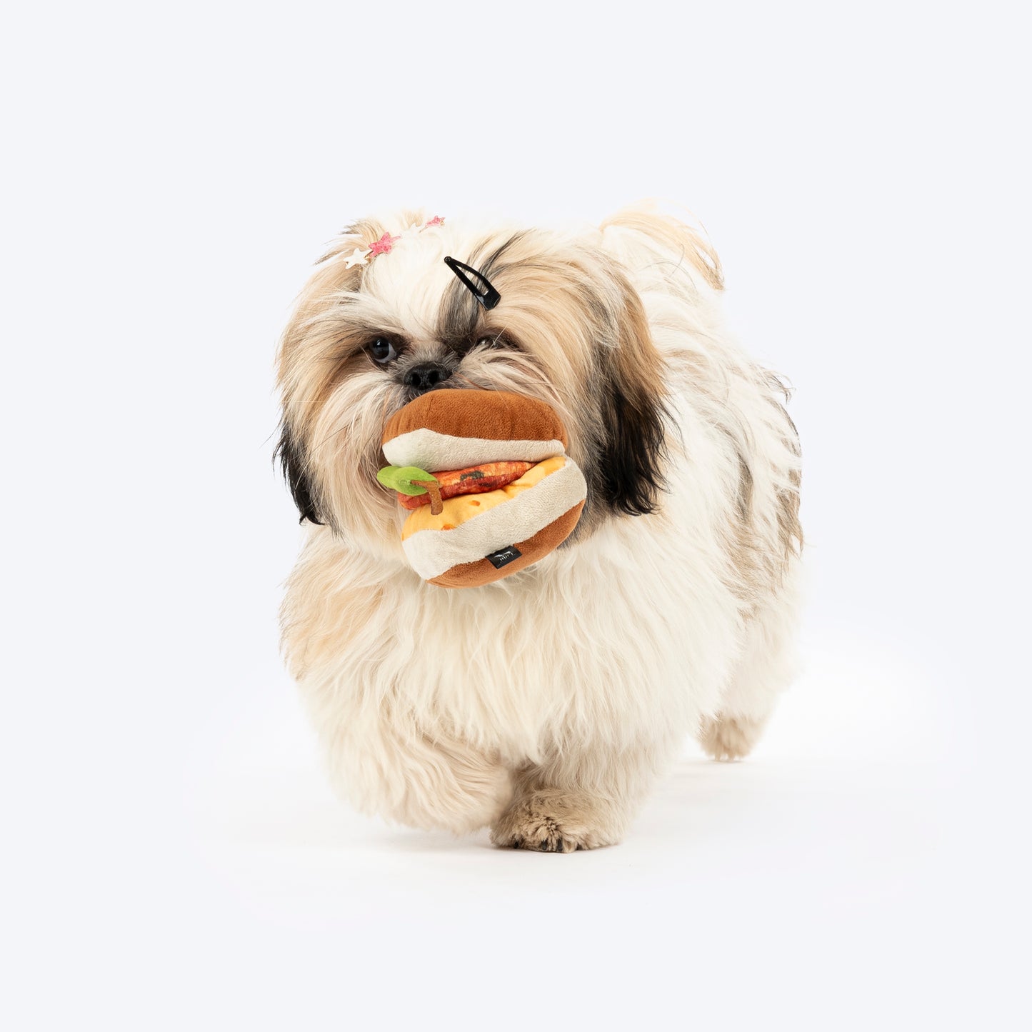 HUFT Vada-Paw Crinkly Dog Toy - Multicolor