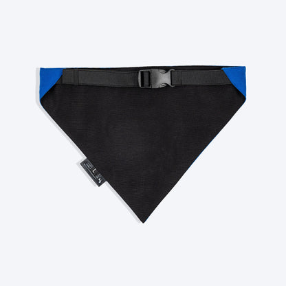 HUFT Socks Thief Bandana For Dog - Blue