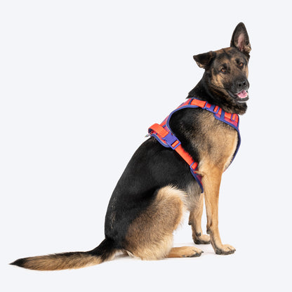 Dash Dog HexaStreak Walk Along Harness For Dog - Red