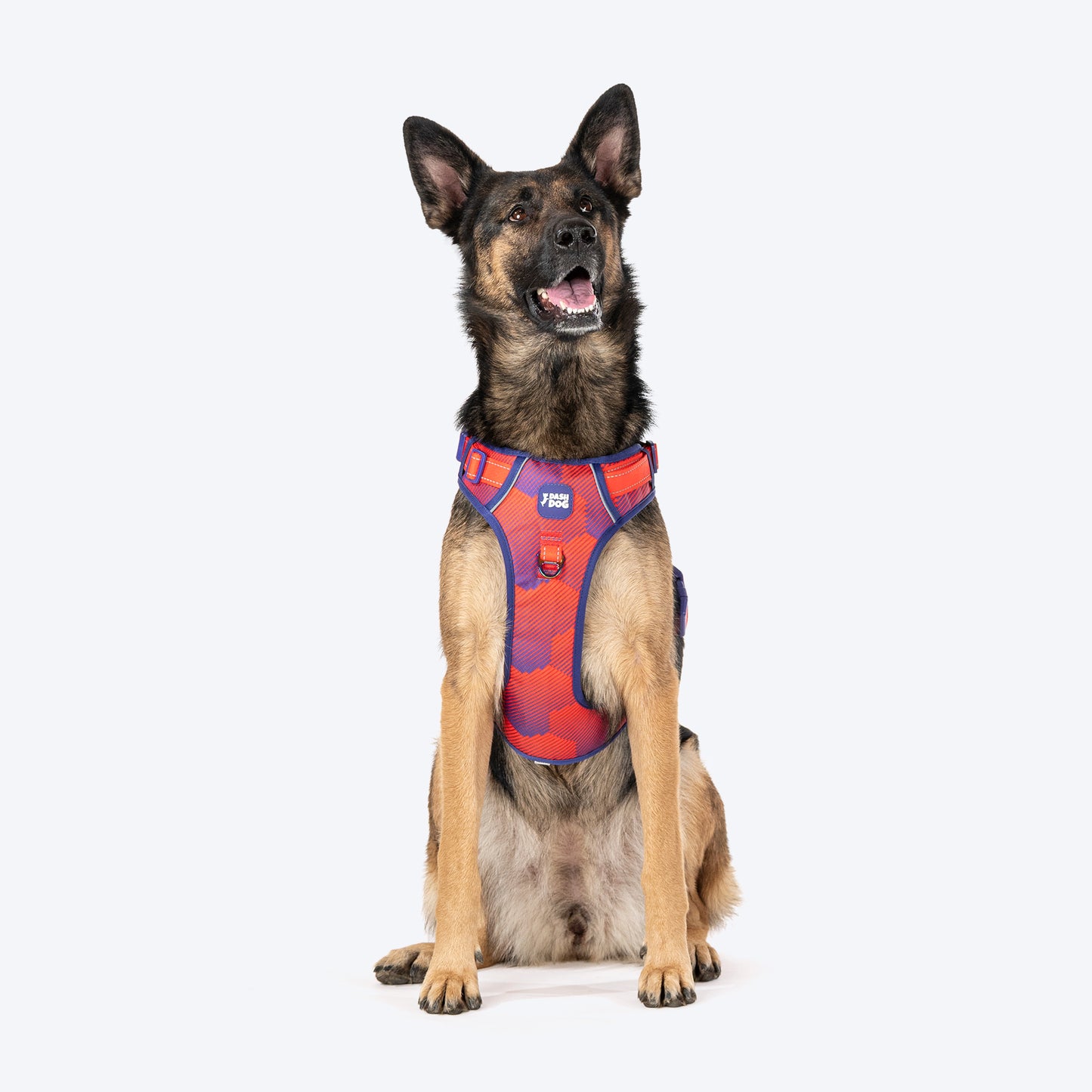 Dash Dog HexaStreak Walk Along Harness For Dog - Red