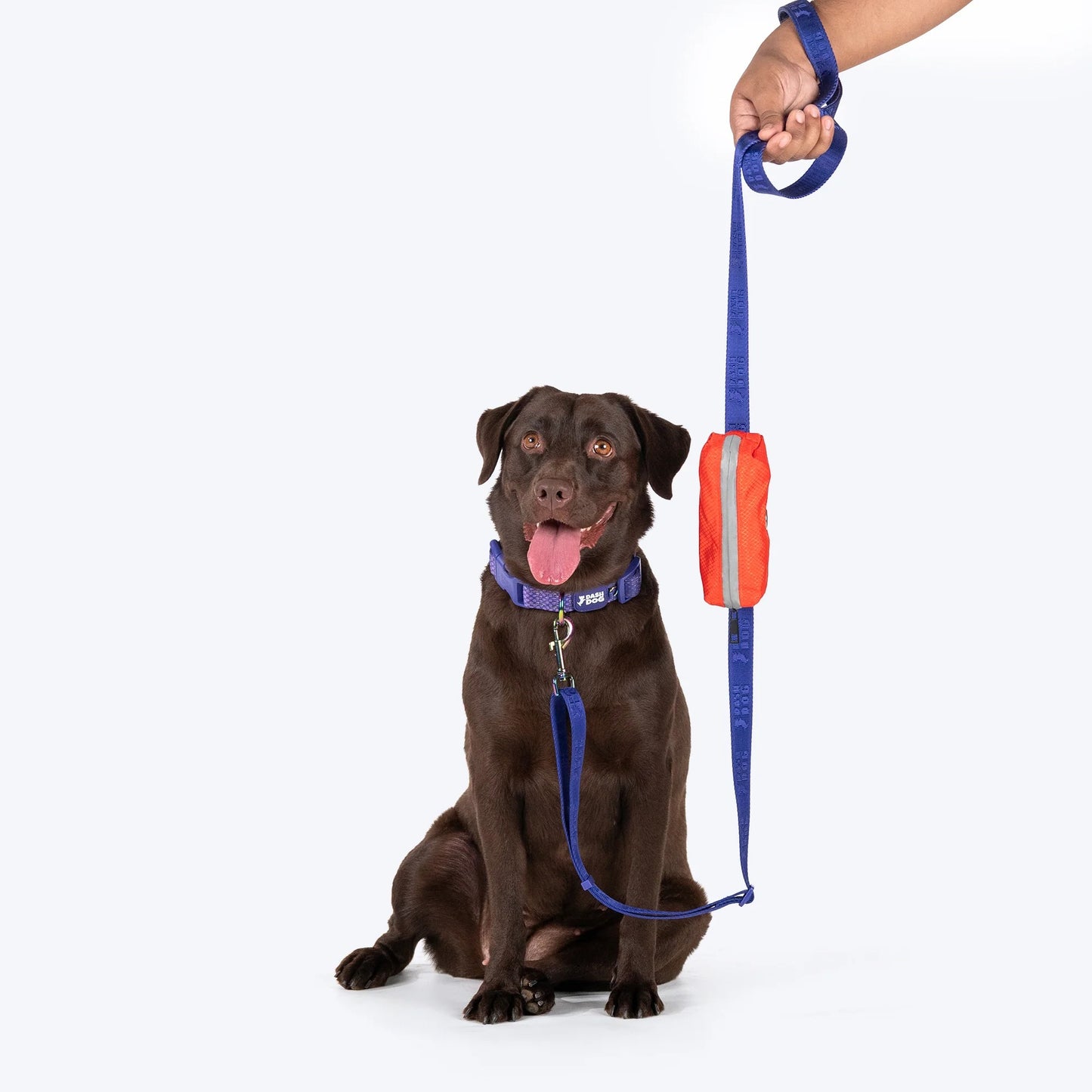 Dash Dog Oh-So-Handy Flexible Leash For Dog - Purple