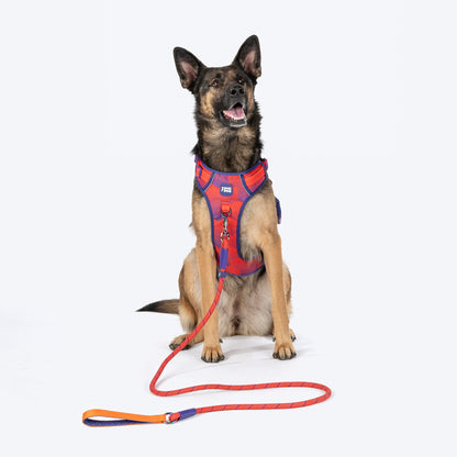 Dash Dog Sunset Chaser Rope Leash For Dog - Red - 6ft