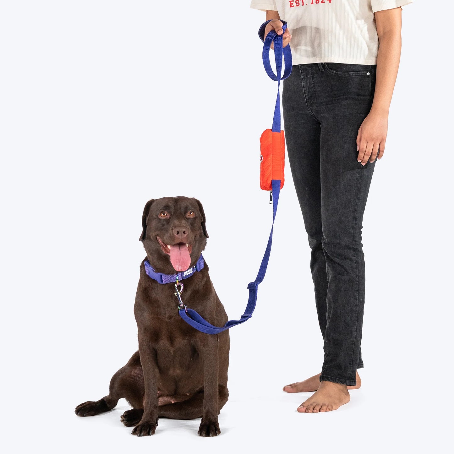 Dash Dog Oh-So-Handy Flexible Leash For Dog - Purple