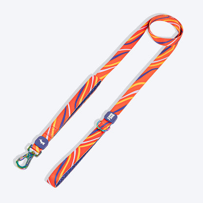 Dash Dog Radiant Blaze Dual Handle Leash For Dog - Orange