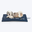 HUFT Good Naps Flat Mat For Dog & Cat - Blue