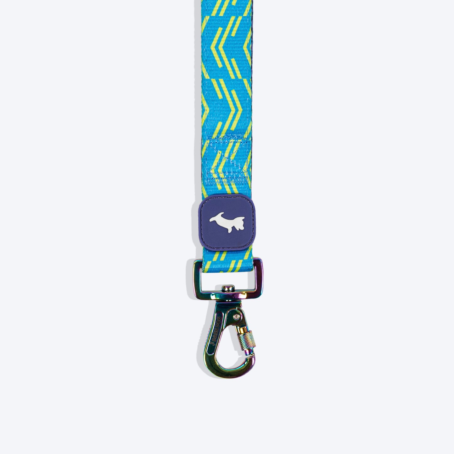 Dash Dog Vector Dual Handle Leash For Dog - Aqua Blue