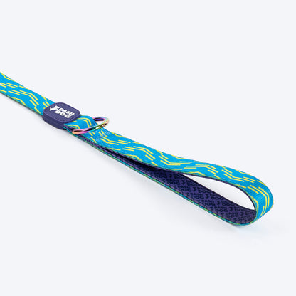 Dash Dog Vector Dual Handle Leash For Dog - Aqua Blue