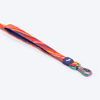 Dash Dog Radiant Blaze Dual Handle Leash For Dog - Orange