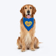 HUFT Socks Thief Bandana For Dog - Blue