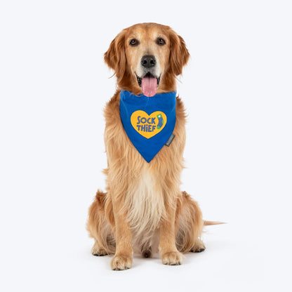 HUFT Socks Thief Bandana For Dog - Blue