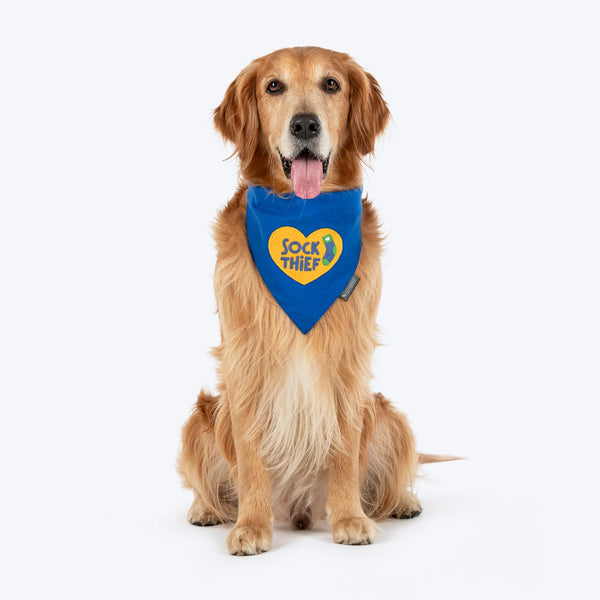 HUFT Socks Thief Bandana For Dog - Blue