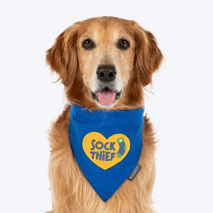 HUFT Socks Thief Bandana For Dog - Blue