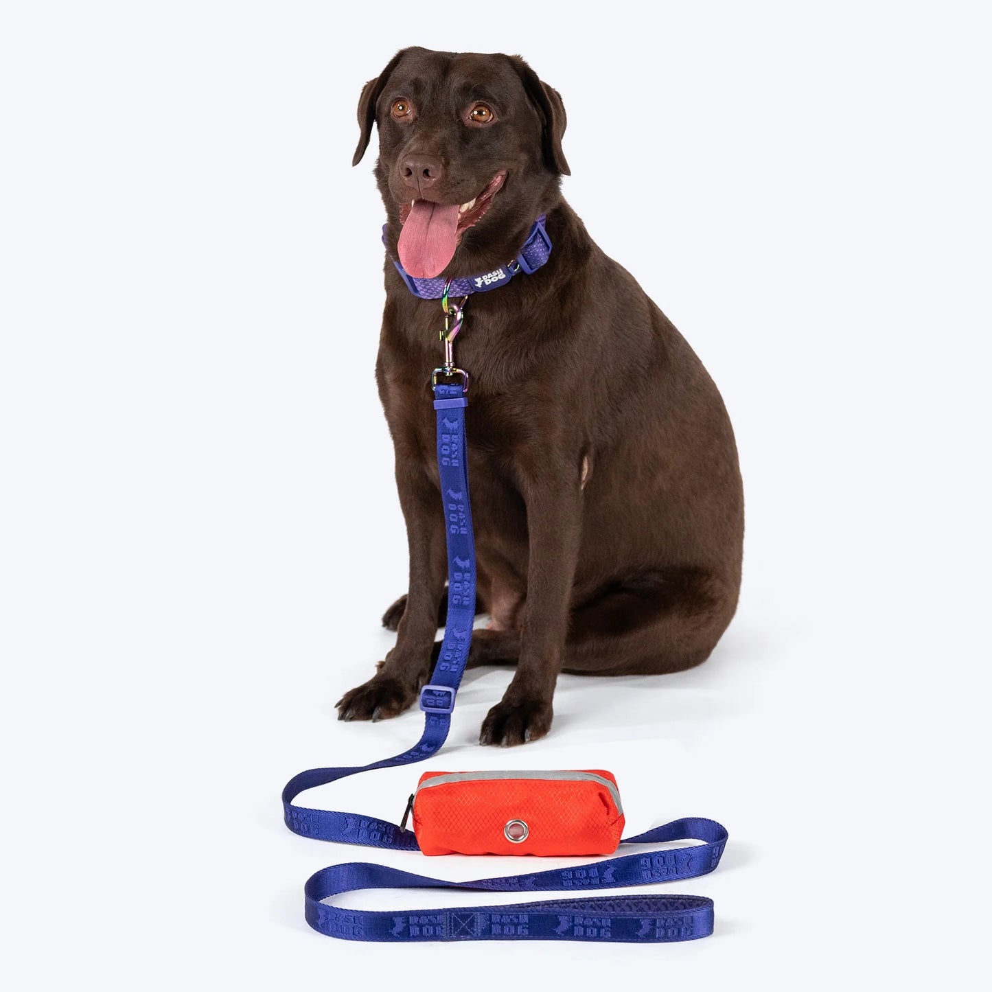 Dash Dog Oh-So-Handy Flexible Leash For Dog - Purple