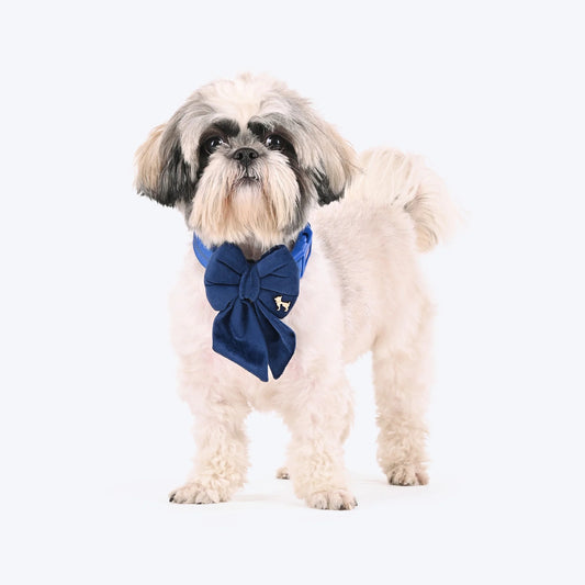 HUFT Regal Luxe Bow Tie For Dog - Navy