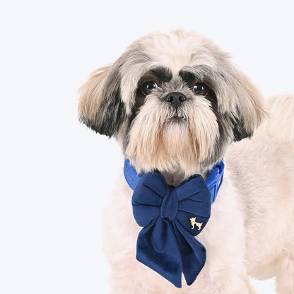 HUFT Regal Luxe Bow Tie For Dog - Navy
