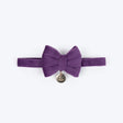 HUFT Regal Luxe Bow Tie With Strap For Cat - Purple