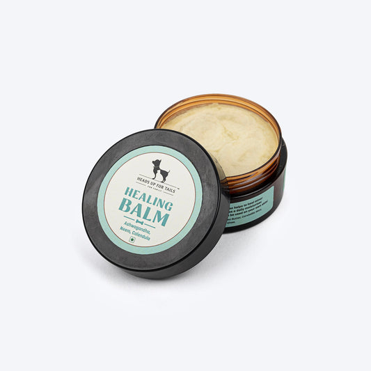 HUFT Organic Healing Dog Balm - 25 g