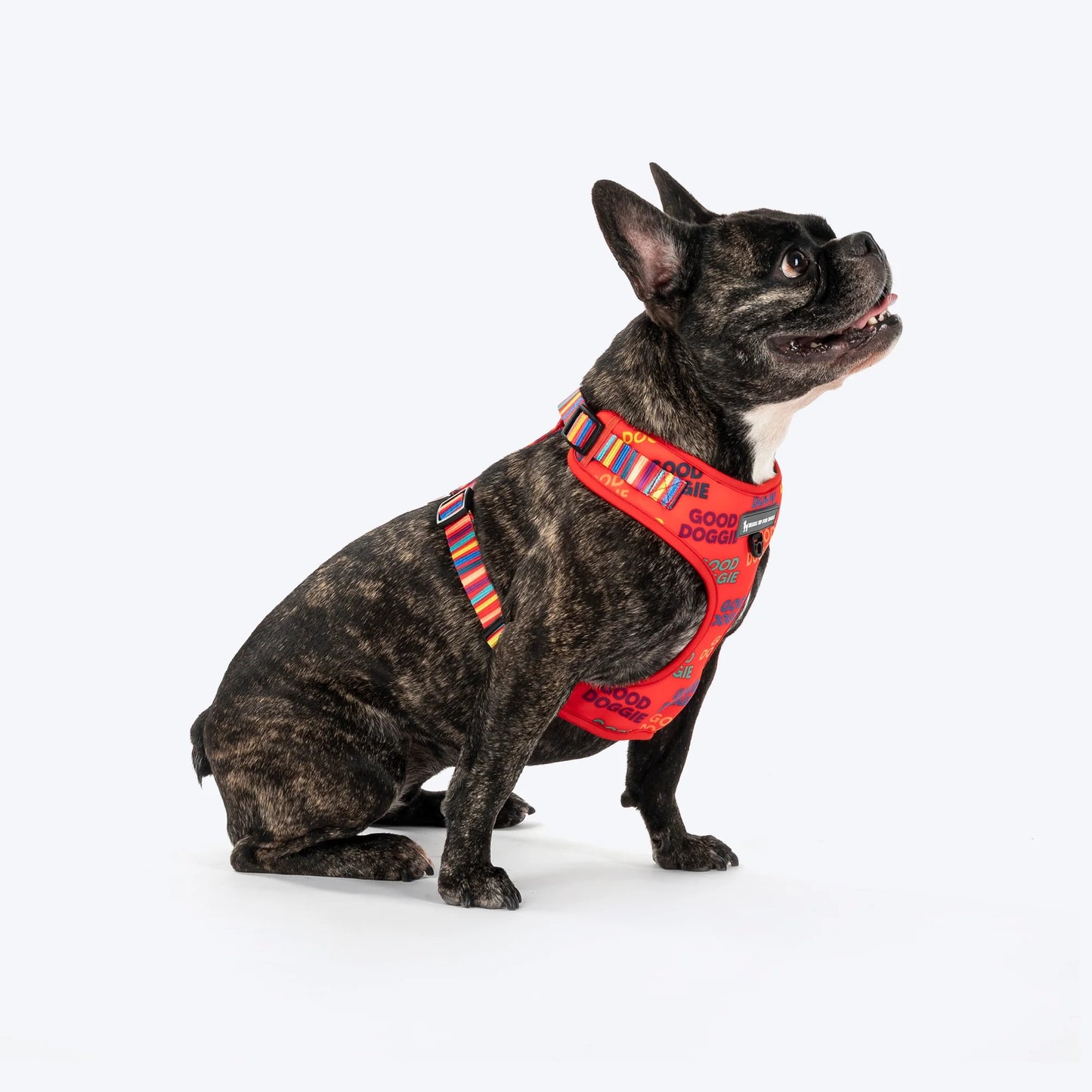 HUFT Good Doggie Adjustable Harness For Dog - XS