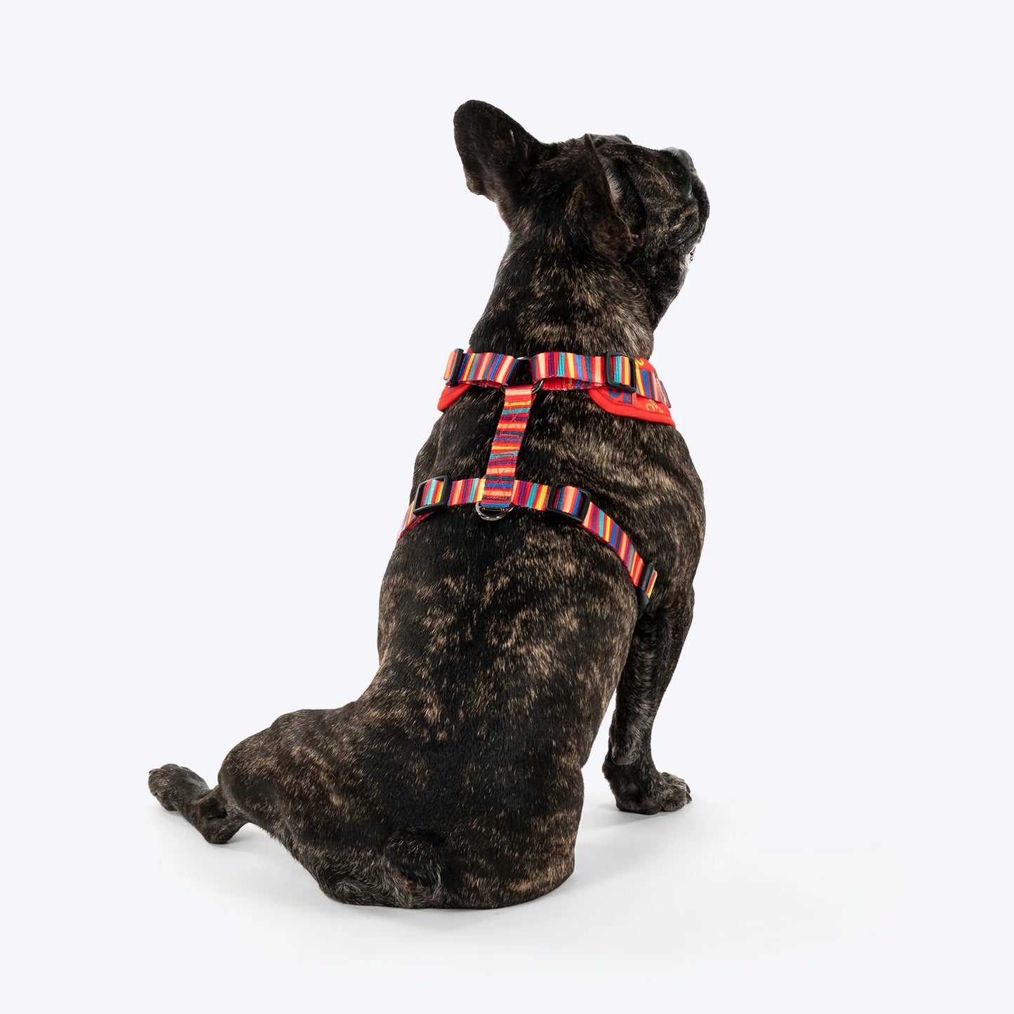 HUFT Good Doggie Adjustable Harness For Dog - XS