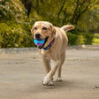 Dash Dog Extreme Play Squeaky Ball Toy For Dog - Blue