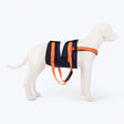 HUFT Trooper Mid-Body (Belly) Support Lift Harness For Dogs - Navy Blue
