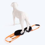 HUFT Trooper Hind Leg Support Lift Harness For Dogs - Navy Blue - Set Of 2