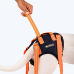HUFT Trooper Hind Leg Support Lift Harness For Dogs - Navy Blue - Set Of 2