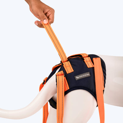 HUFT Trooper Hind Leg Support Lift Harness For Dogs - Navy Blue - Set Of 2