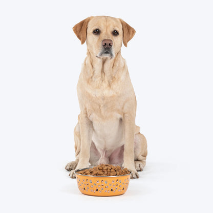 Huft Doodle Tails Printed Steel Bowl For Dog - Yellow