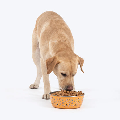 Huft Doodle Tails Printed Steel Bowl For Dog - Yellow
