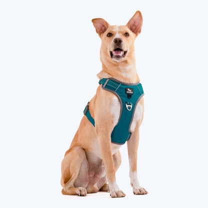 HUFT Active Pet Dog Harness - Teal Blue