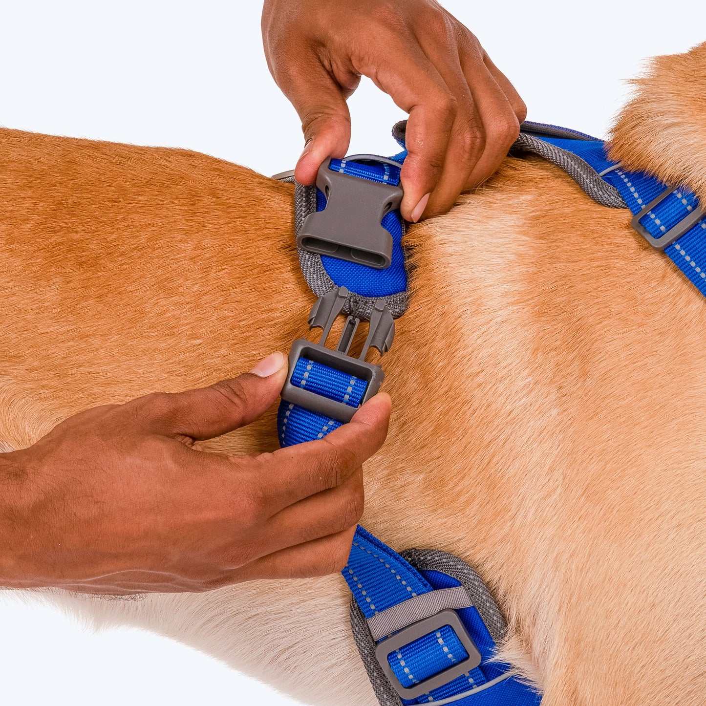 HUFT Active Pet Dog Harness - Royal Blue