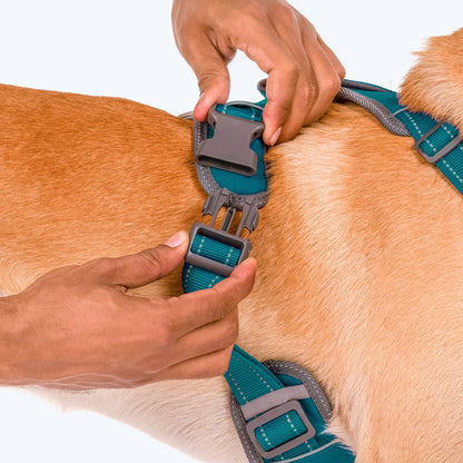 HUFT Active Pet Dog Harness - Teal Blue