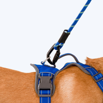 HUFT Active Pet Dog Harness - Royal Blue