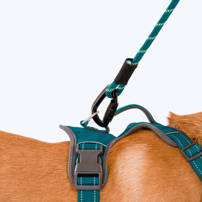 HUFT Active Pet Dog Harness - Teal Blue