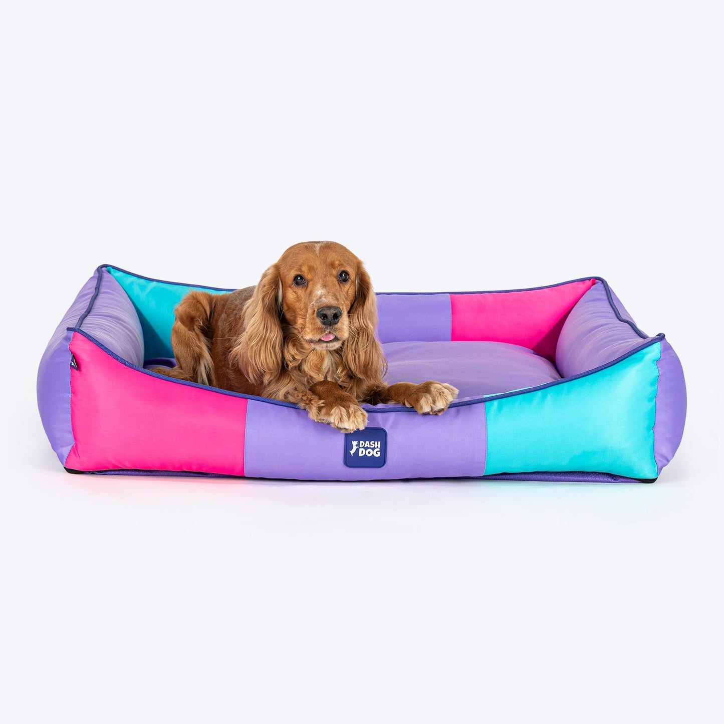 Dash Dog Color Cascade Water repellant Lounger Dog Bed -Multicolor