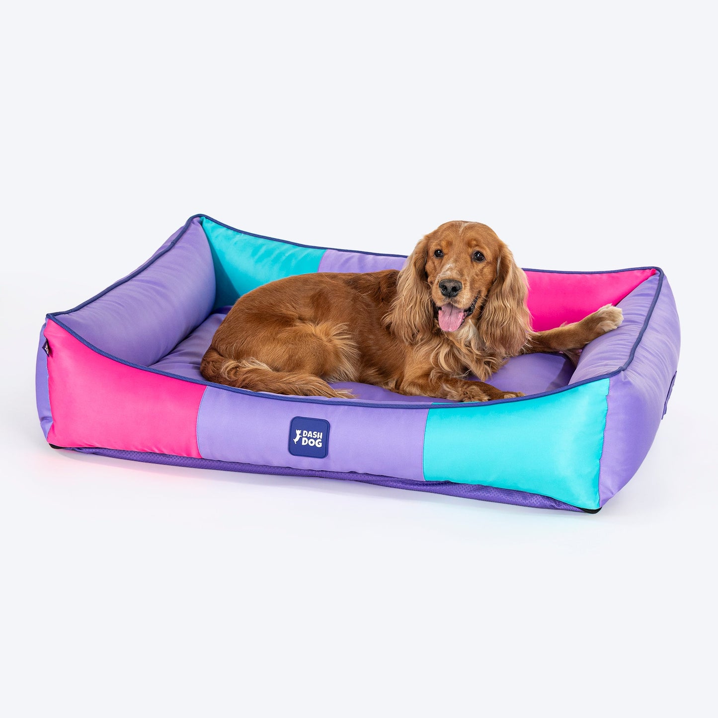 Dash Dog Color Cascade Water repellant Lounger Dog Bed -Multicolor