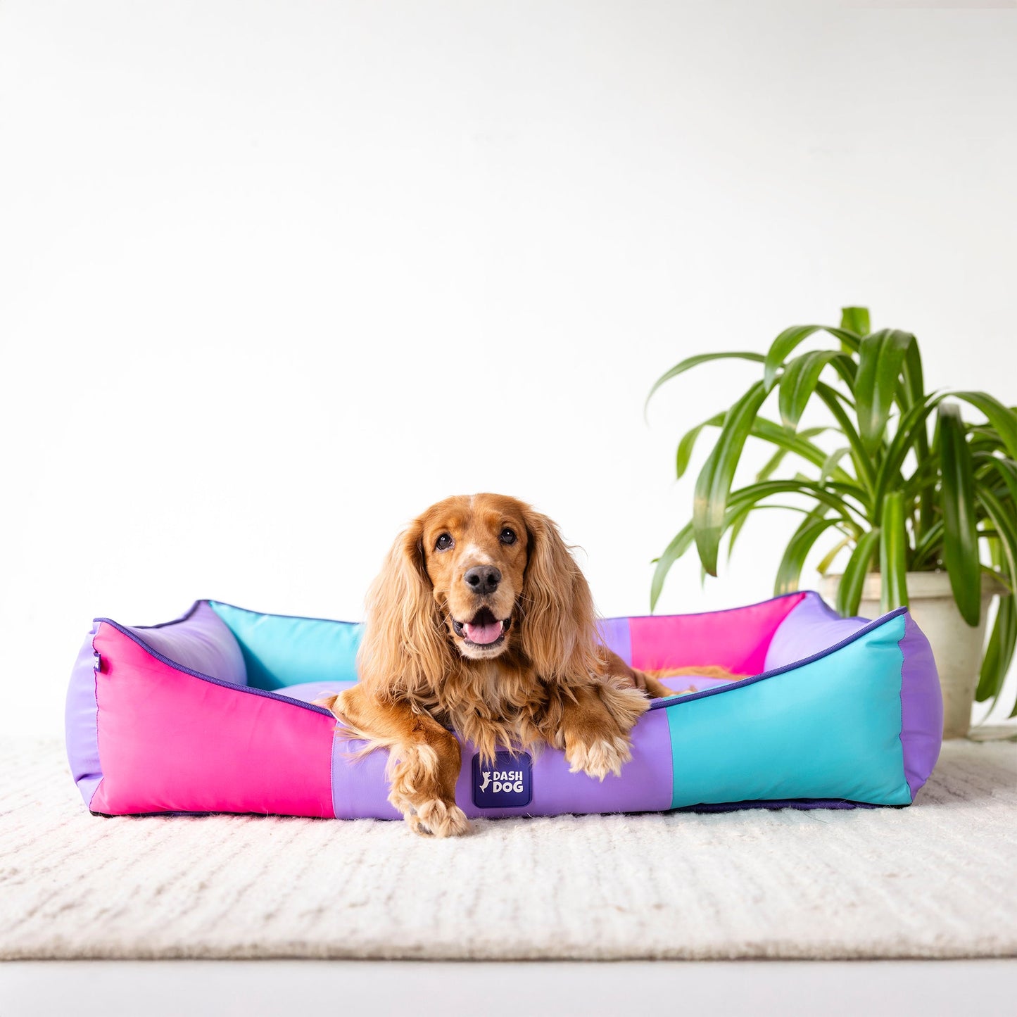 Dash Dog Color Cascade Water repellant Lounger Dog Bed -Multicolor