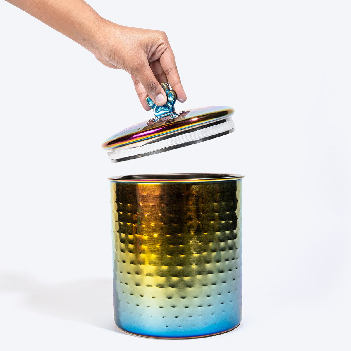 Dash Dog Rainbow Stainless Steel Treat Jar For Dog & Cat - Multicolor