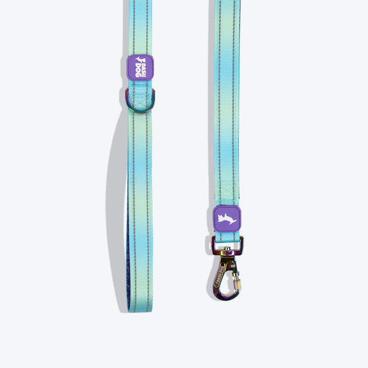 Dash Dog Ethernal Fade Dual Handle Leash For Dog - Aqua