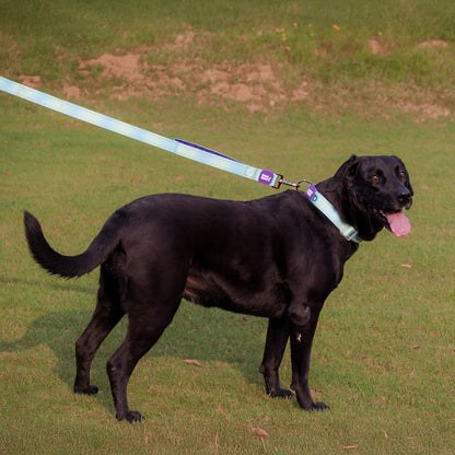 Dash Dog Ethernal Fade Dual Handle Leash For Dog - Aqua