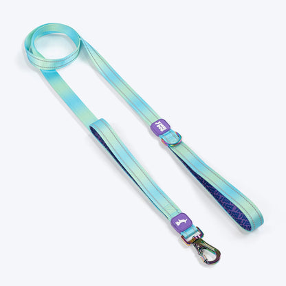Dash Dog Ethernal Fade Dual Handle Leash For Dog - Aqua