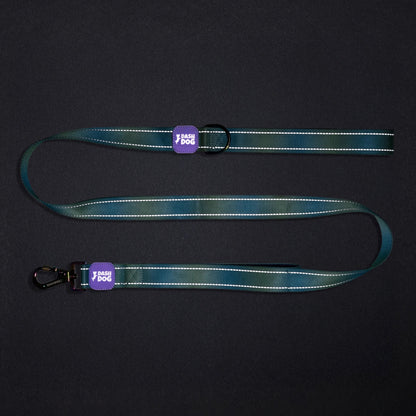 Dash Dog Ethernal Fade Dual Handle Leash For Dog - Aqua