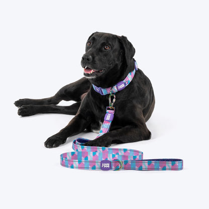 Dash Dog Galaxy Dual Handle Leash For Dog - Purple