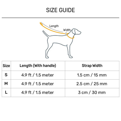 Dash Dog Galaxy Dual Handle Leash For Dog - Purple