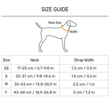 Dash Dog Galaxy Padded Collar For Dog - Purple
