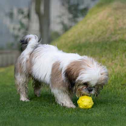 Dash Dog Mello-Yello Bubble Ball Toy Dog Toy