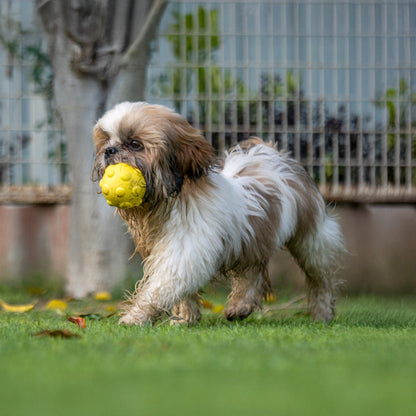 Dash Dog Mello-Yello Bubble Ball Toy Dog Toy