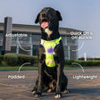 Dash Dog Neon Fusion Outdoor Fit Harness For Dog - Neon Green