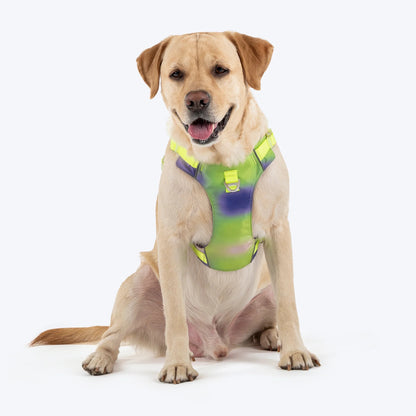 Dash Dog Neon Fusion Outdoor Fit Harness For Dog - Neon Green